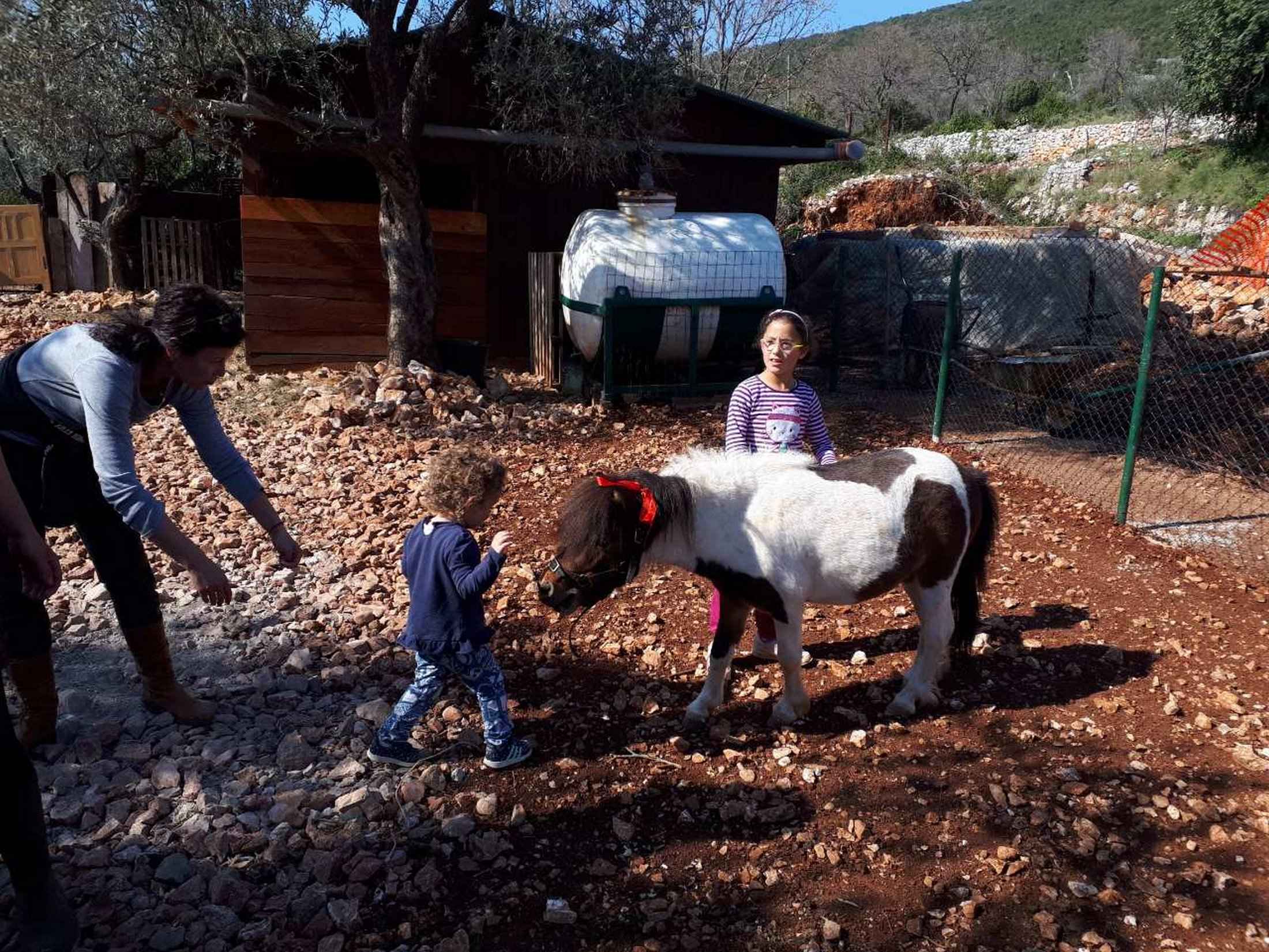 Pony Art Garden