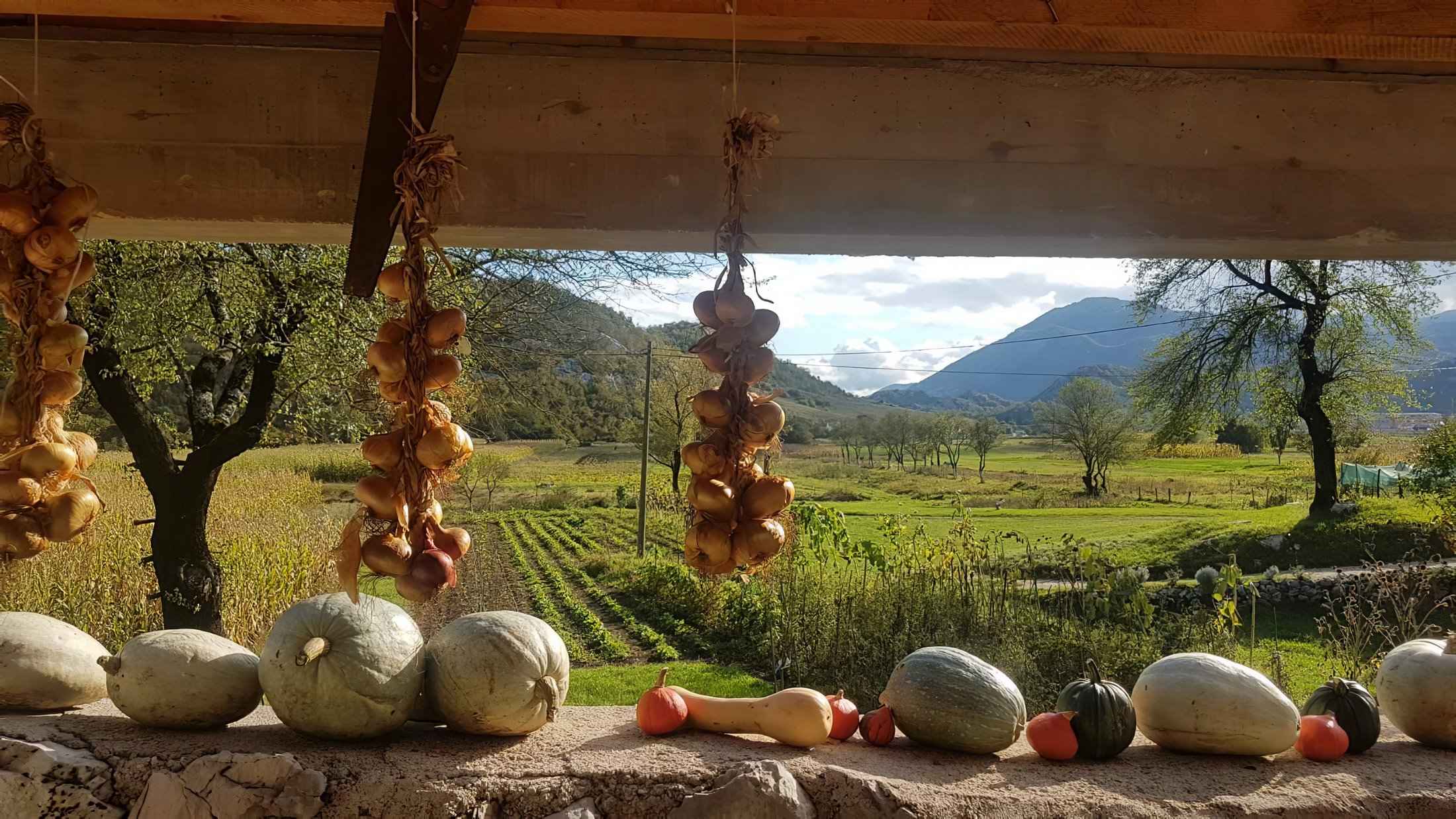Etno domaćinstvo Đedovina