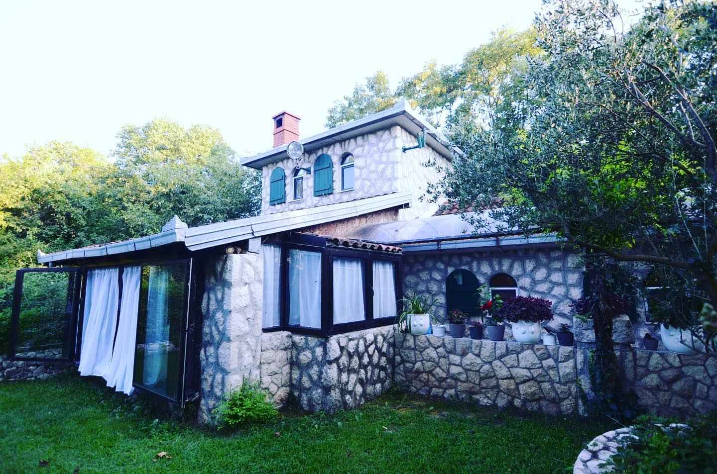 Dragonfly House
